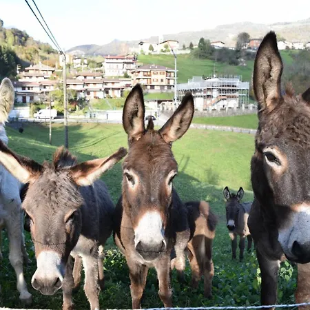 Grabbia Farm stay Grumo (Bergamo)